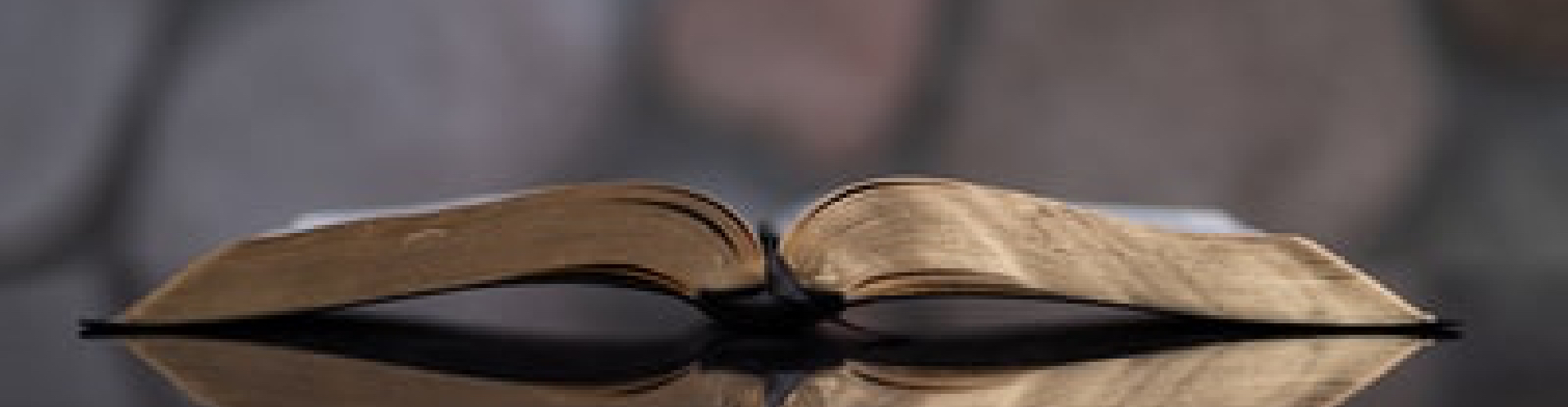 bible opened